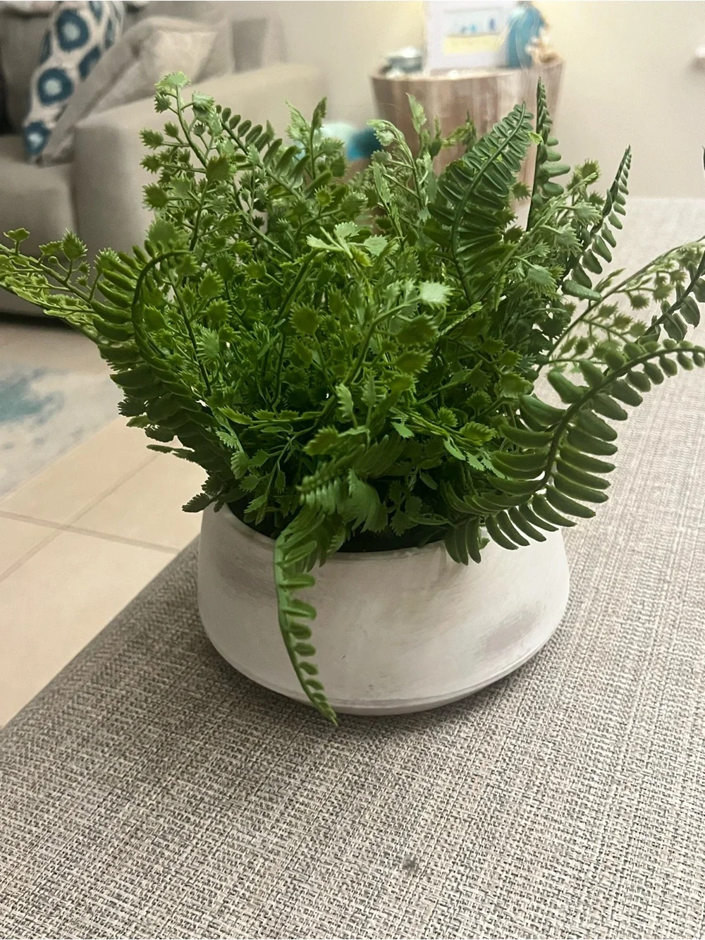 Artificial Fern Arrangement in White Ceramic Pot